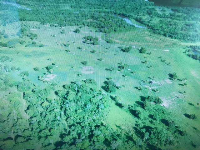 Fazenda na nhecolandia - Foto 5