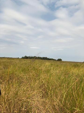 Fazenda de pecuária - Foto 12