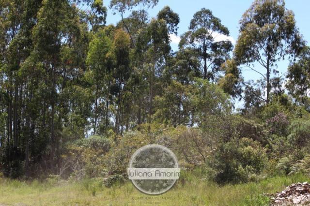 Seu sitio em Bom Retiro na Serra Catarinense - Foto 20
