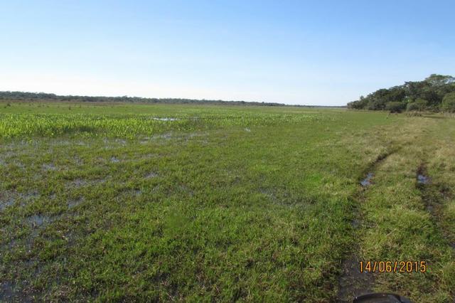 Fazenda de pecuária - Foto 4