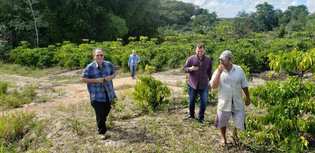 Fazenda Montanha - Foto 12