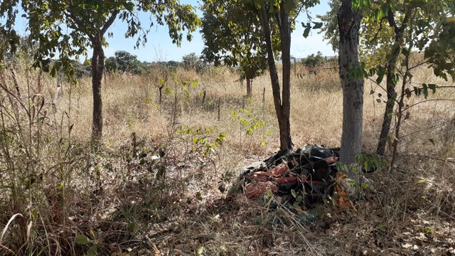 Terrenos - Foto 2