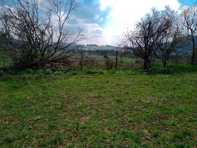 Sítio Terreno - Foto 19