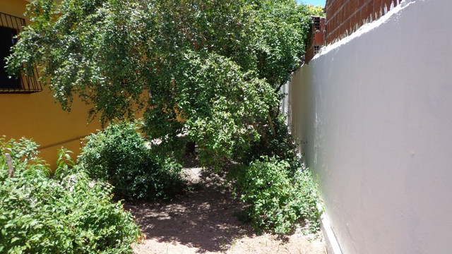 Excelente Casa em Itamaracá - Foto 14