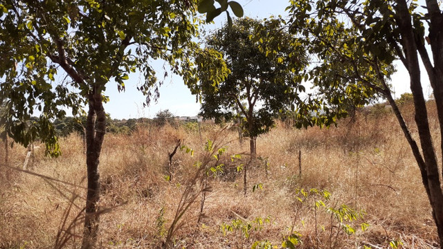 Terrenos - Foto 11