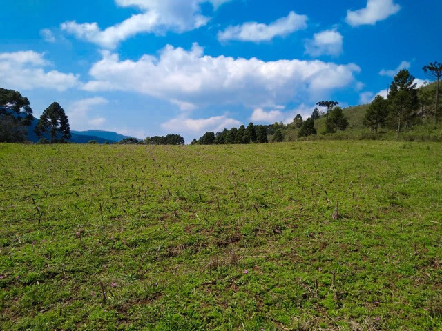 Sítio Terreno - Foto 7