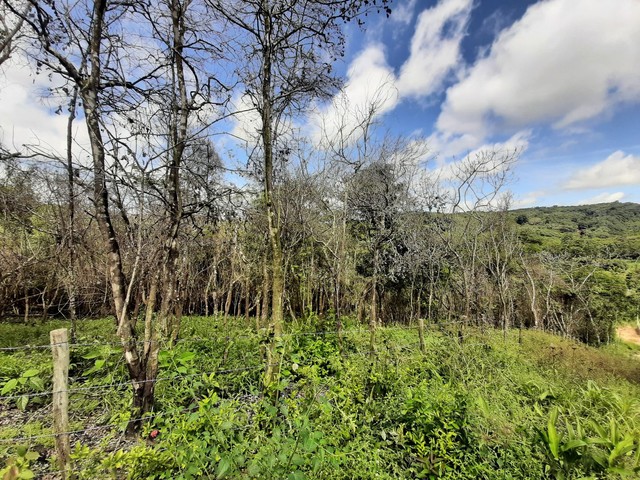 LOTES ENTRE MULUNGU E GUARAMIRANGA  - Foto 3
