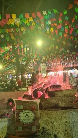 Fogueira de São joão com lenha - Foto 3