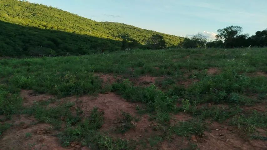Fazenda em Riacho das Almas/PE à Venda (FA0076-DV) - Foto 4