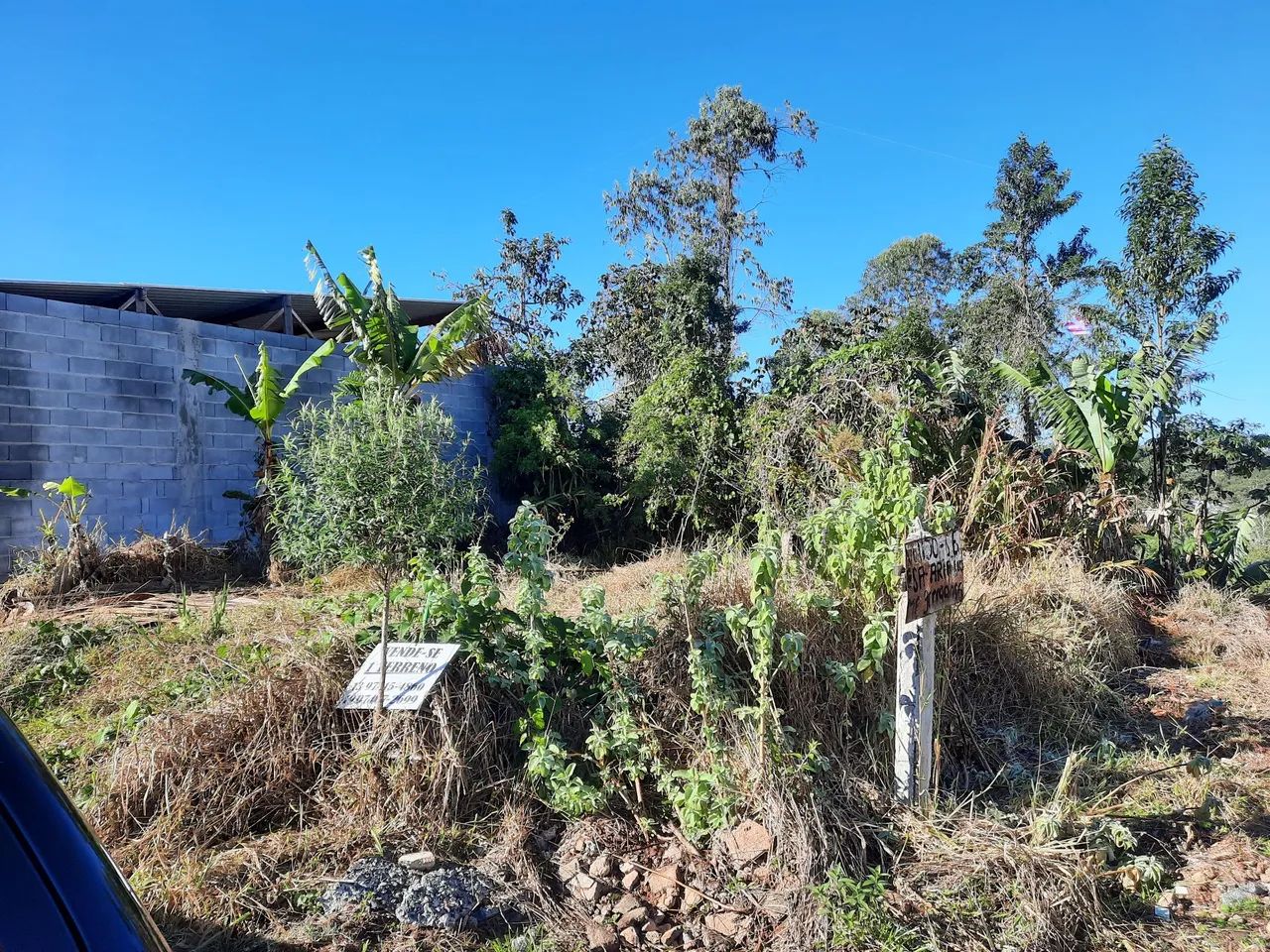 Terreno à venda - Oportunidade única! - Foto 8