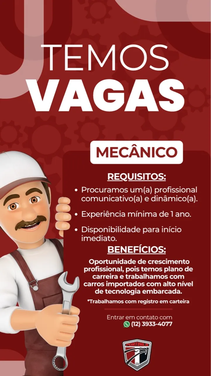 Mecânico Automotivo com experiência