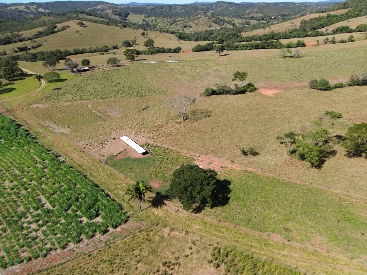 Fazendo cocalzinho de 125 alqueires  - Foto 3