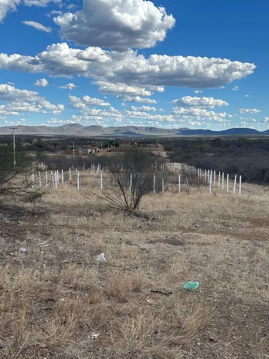 Terreno Comercial ás margens da Br-232 - Foto 2