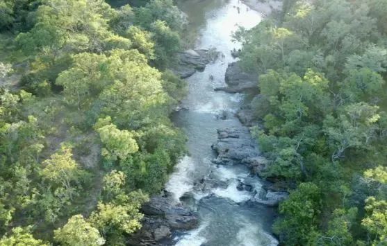 FAZENDA BARREIRO DO ONÇA - TOCANTINS - Foto 3