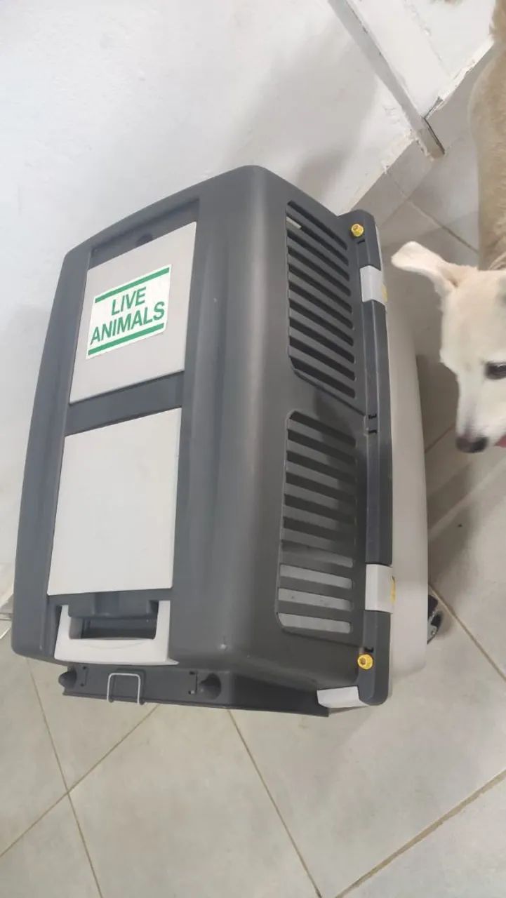Transportadora para Animais - Segura e Confortável - Foto 2