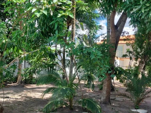Ampla Casa com 4 quartos na Santa Mônica - Foto 4