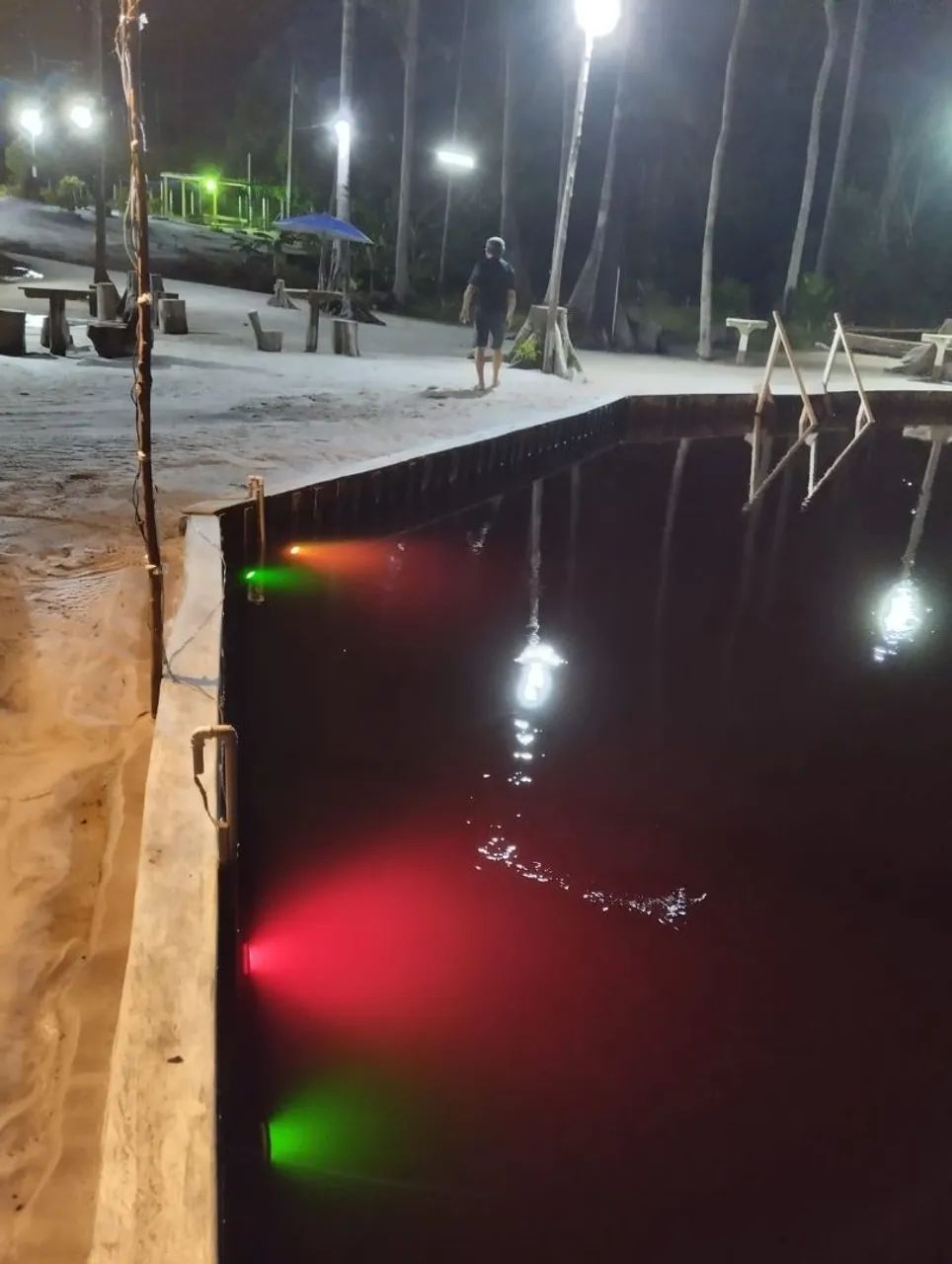 Sitio Estrada Novo Airão km 44 - Foto 7