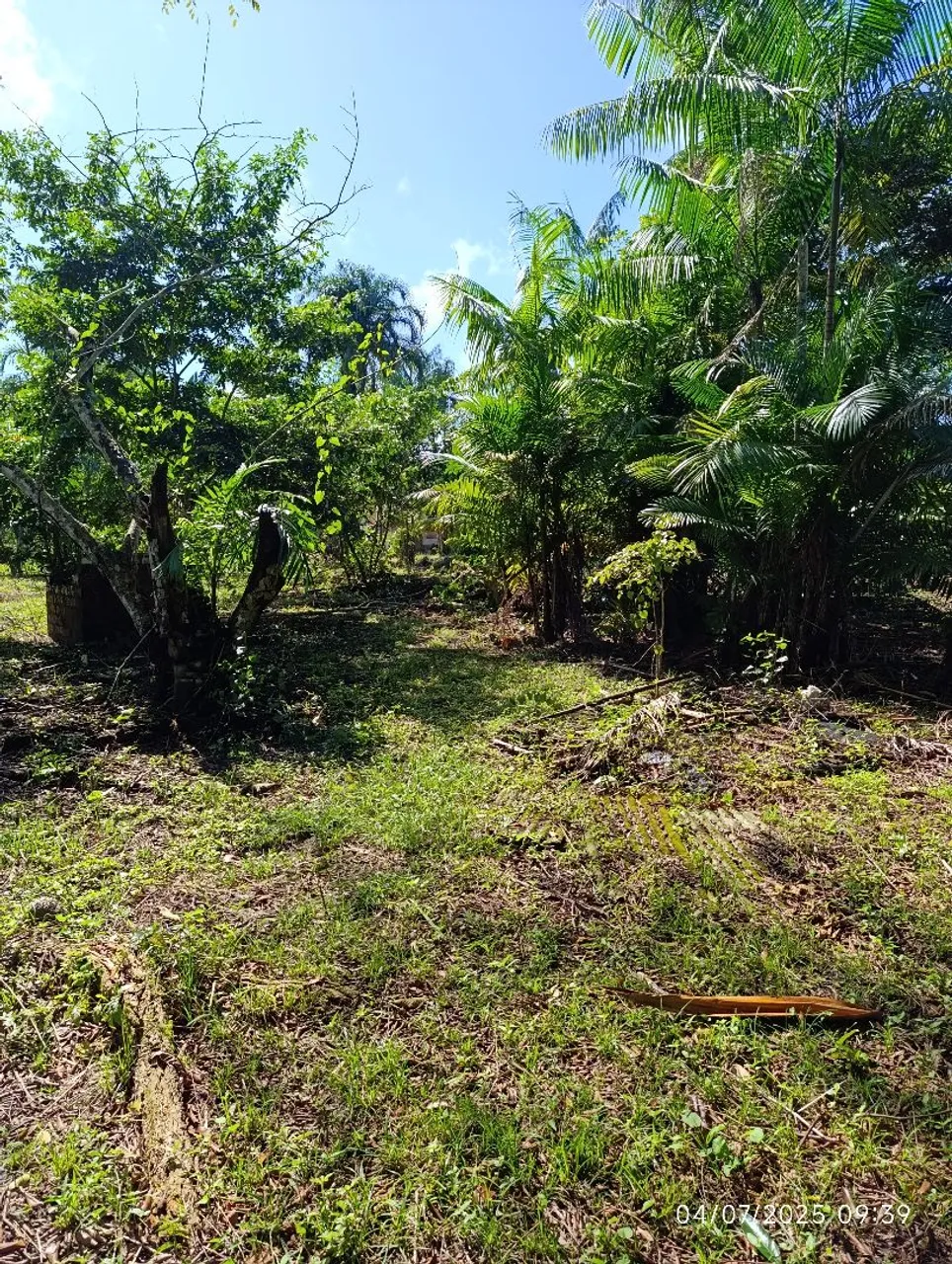 Terreno 