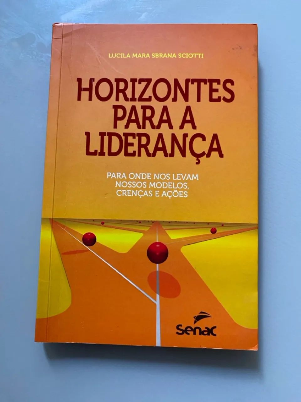 Livro Horizontes para a Liderança 