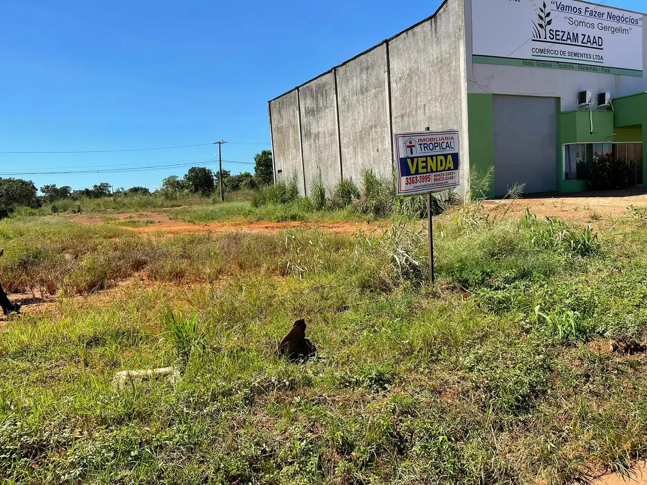 VENDE-SE LOTE DE 360 M2 BEM LOCALIZADO EM FRETE A TO-050.