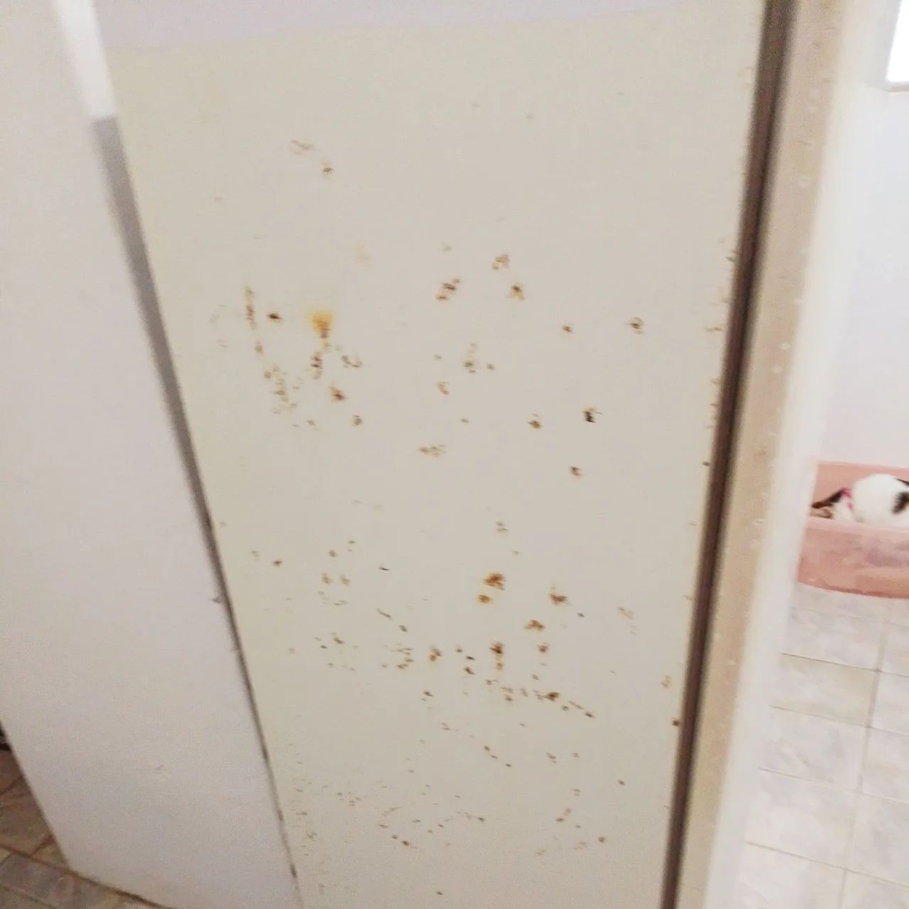 Geladeira Consul 230 litros - Foto 3