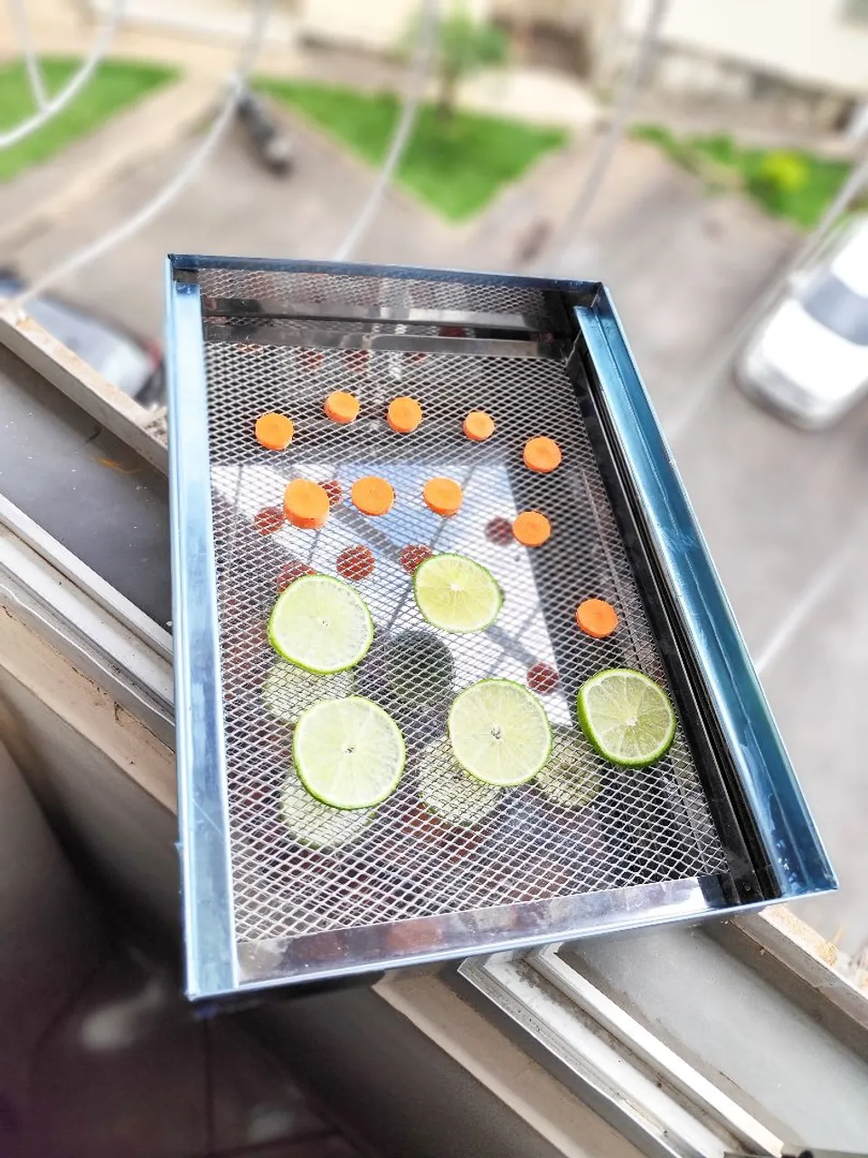 Desidratador de Alimentos em Aço Inox - Novo!