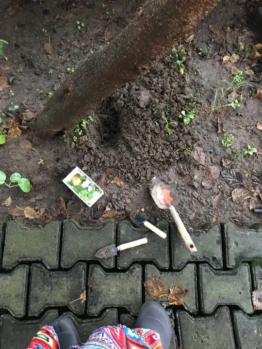 Gaiola e outros  - Foto 5