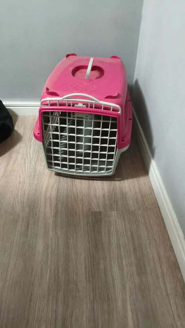 Caixa Transporte PET - Tamanho 3 - Foto 3