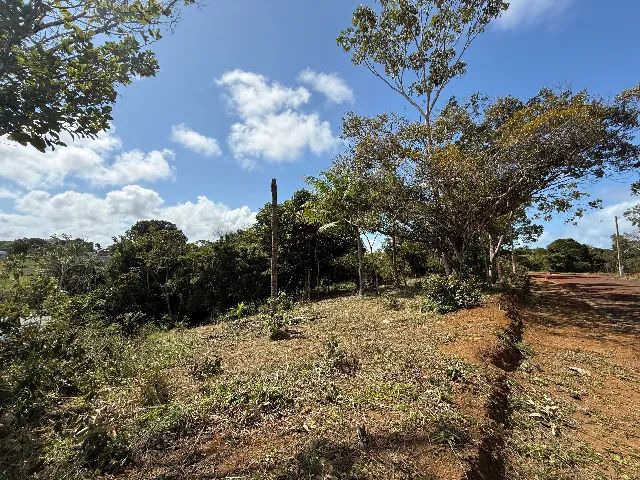 Lote no Morada dos Coqueirais - 410,09 m² | Fim de rua | Área verde  - Foto 3