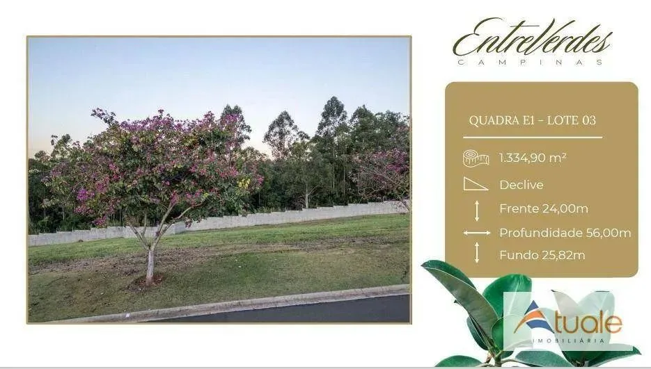 Terreno à venda, 1334 m² por R$ 2.062.421 - Loteamento Residencial Entre Verdes - Campinas