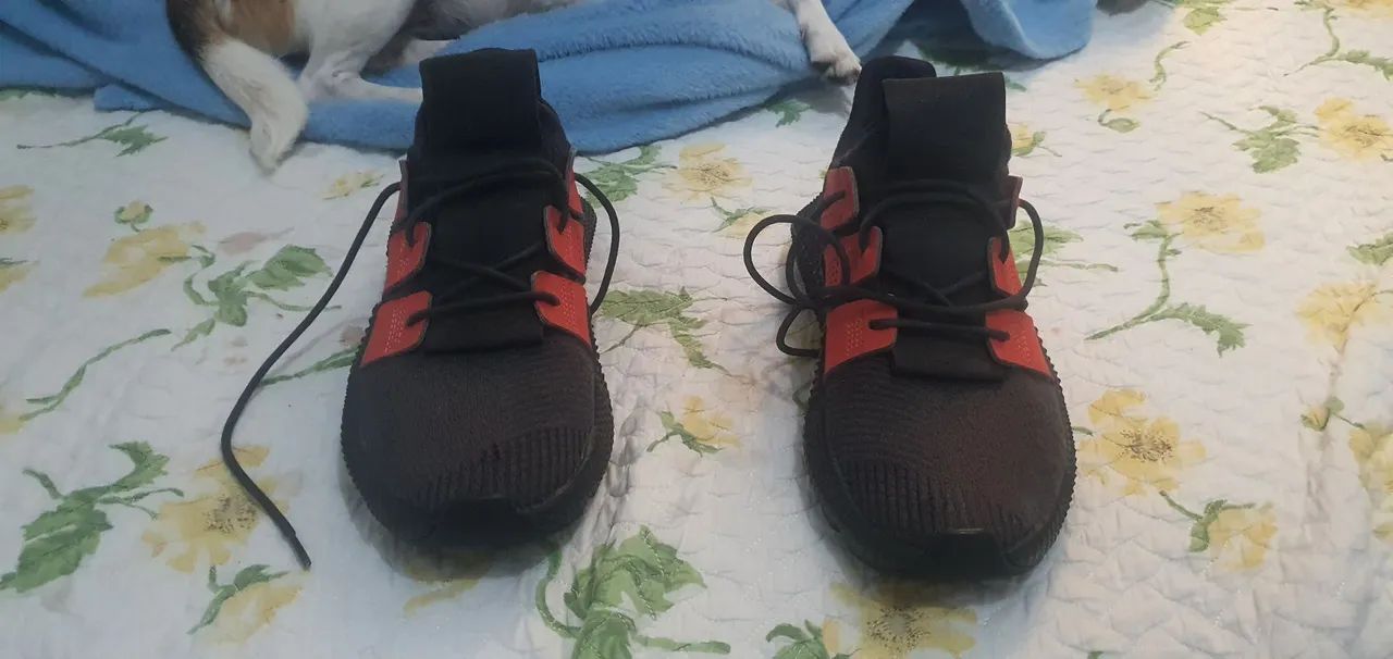 adidas prophere 39
