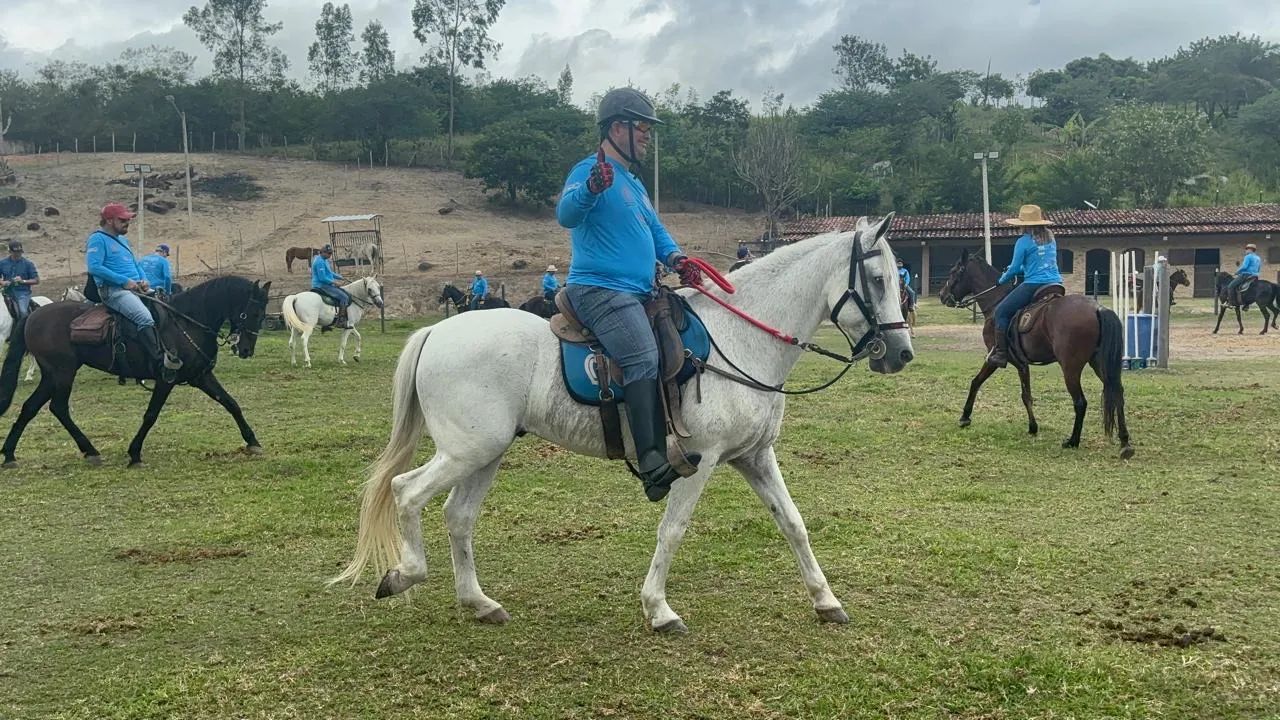 Cavalo Mangalarga marchador para venda - Foto 2