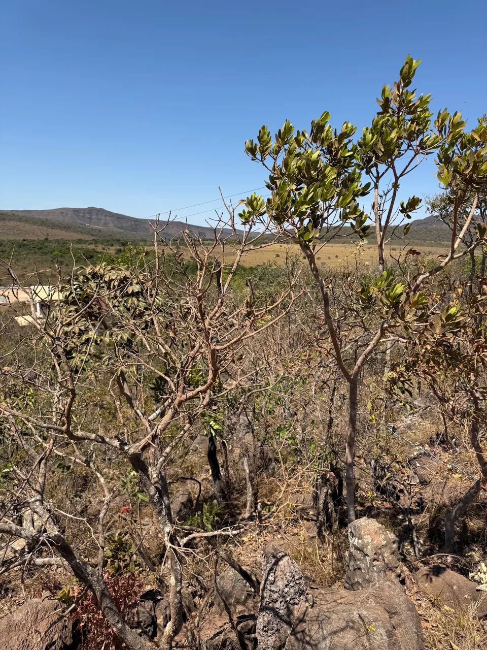 Lote 2.732 m2 Alto paraíso km12 - Foto 4