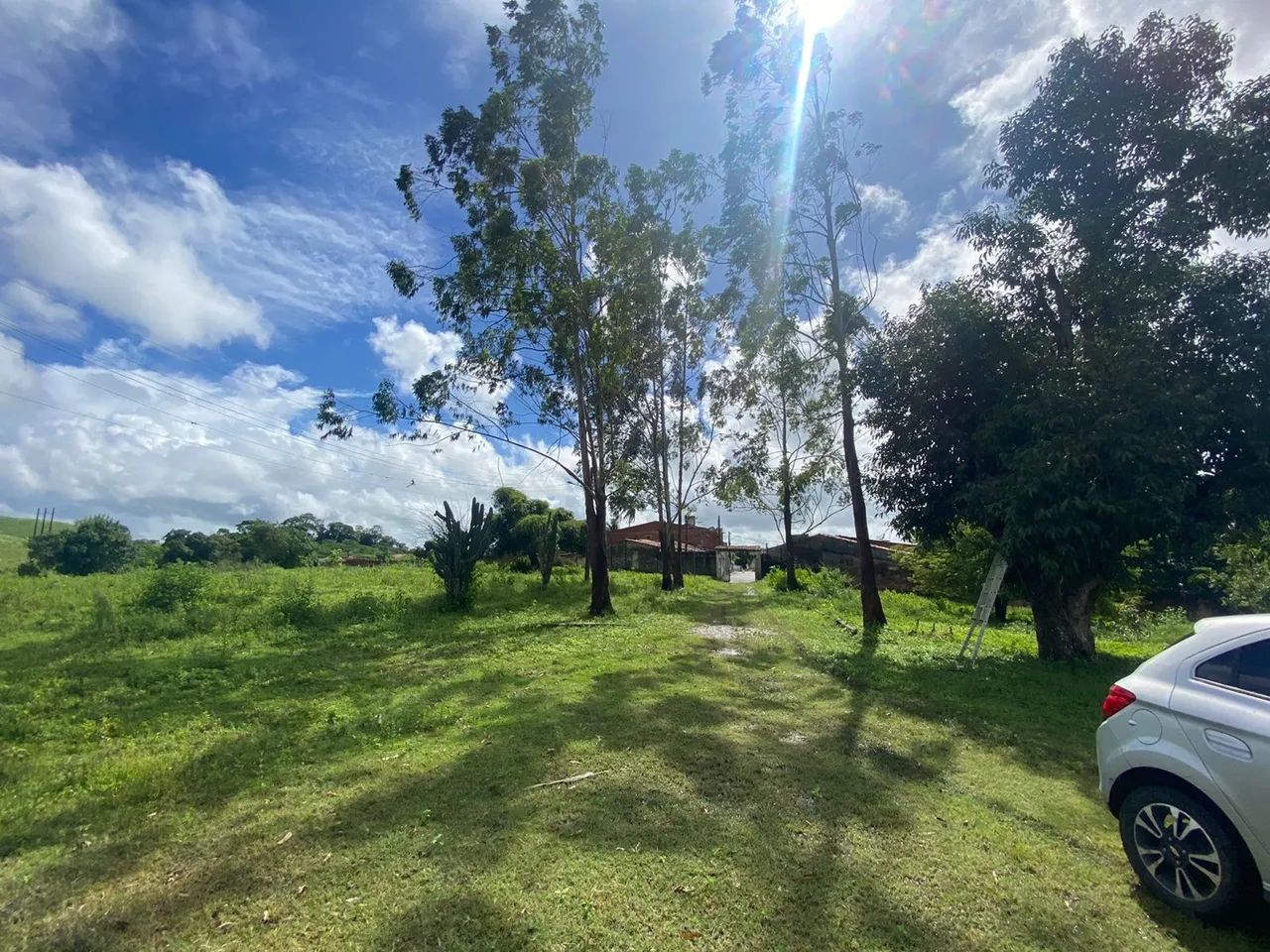 Chácara em Riachuelo-SE  - Foto 3