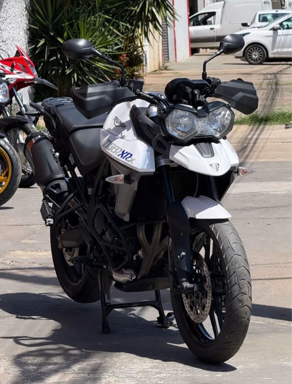 Tiger 800 2015