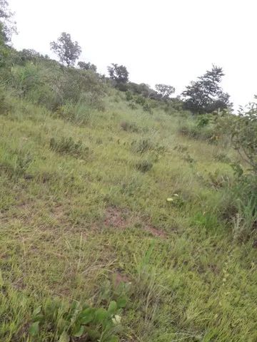 Vendo uma fazenda no municipio de conceiçao do tocantins - Foto 5