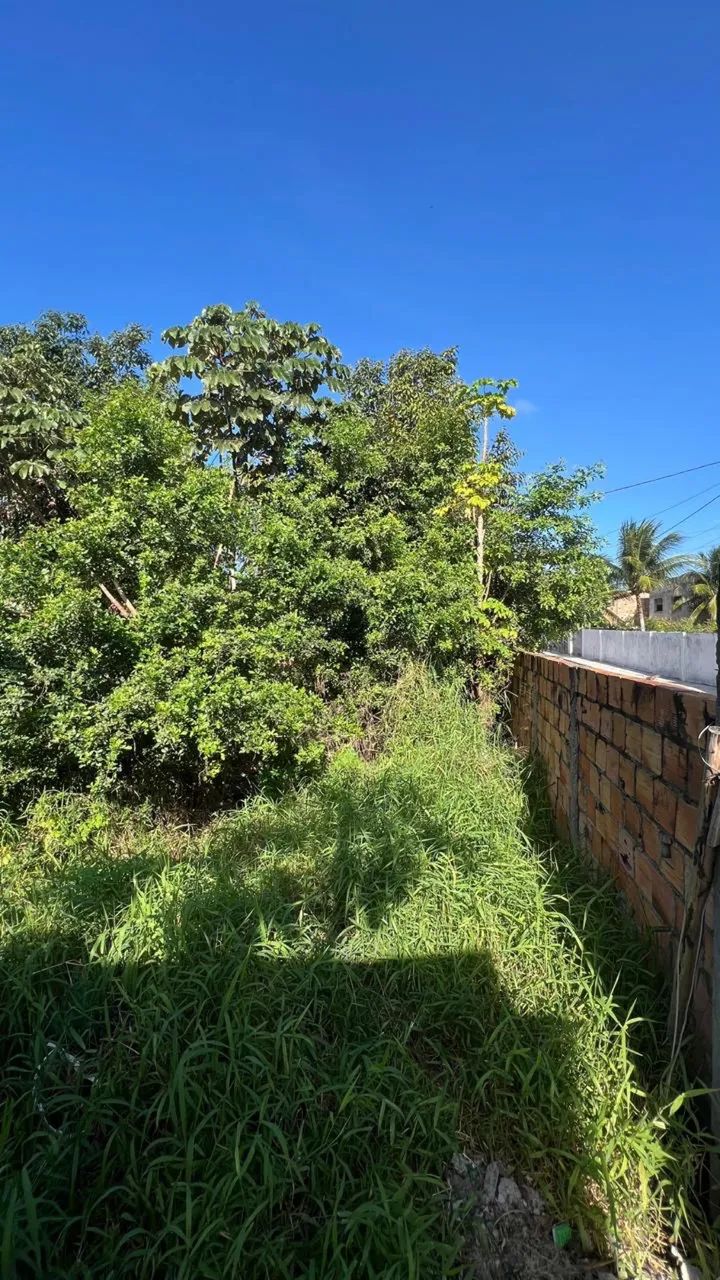 Foto - Salvador - Nova Brasília