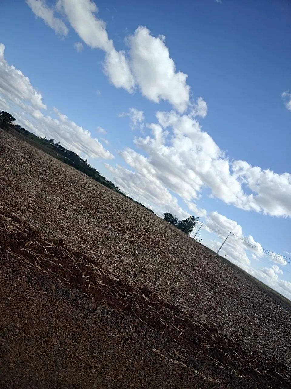 Chacara um alqueire e meio  - Foto 4