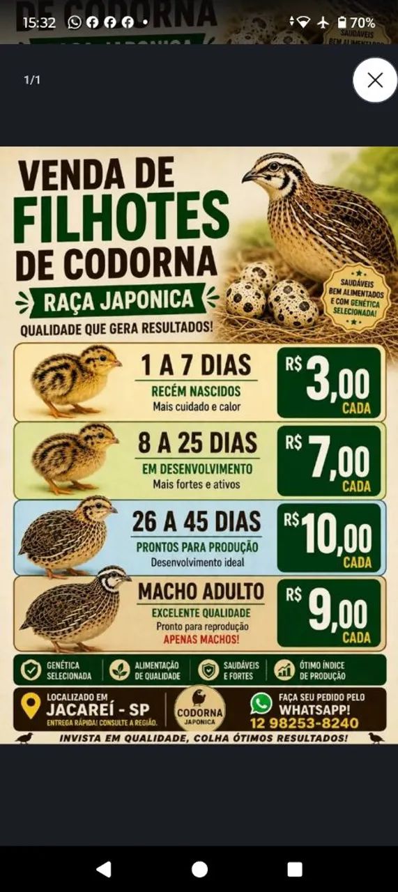 Codórnas 