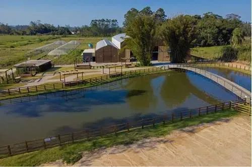 PAVILHÃO - ESPAÇO DE FESTAS - ARENA - INVESTIMENTO EM IÇARA-2500  - Içara - SC - Foto 4