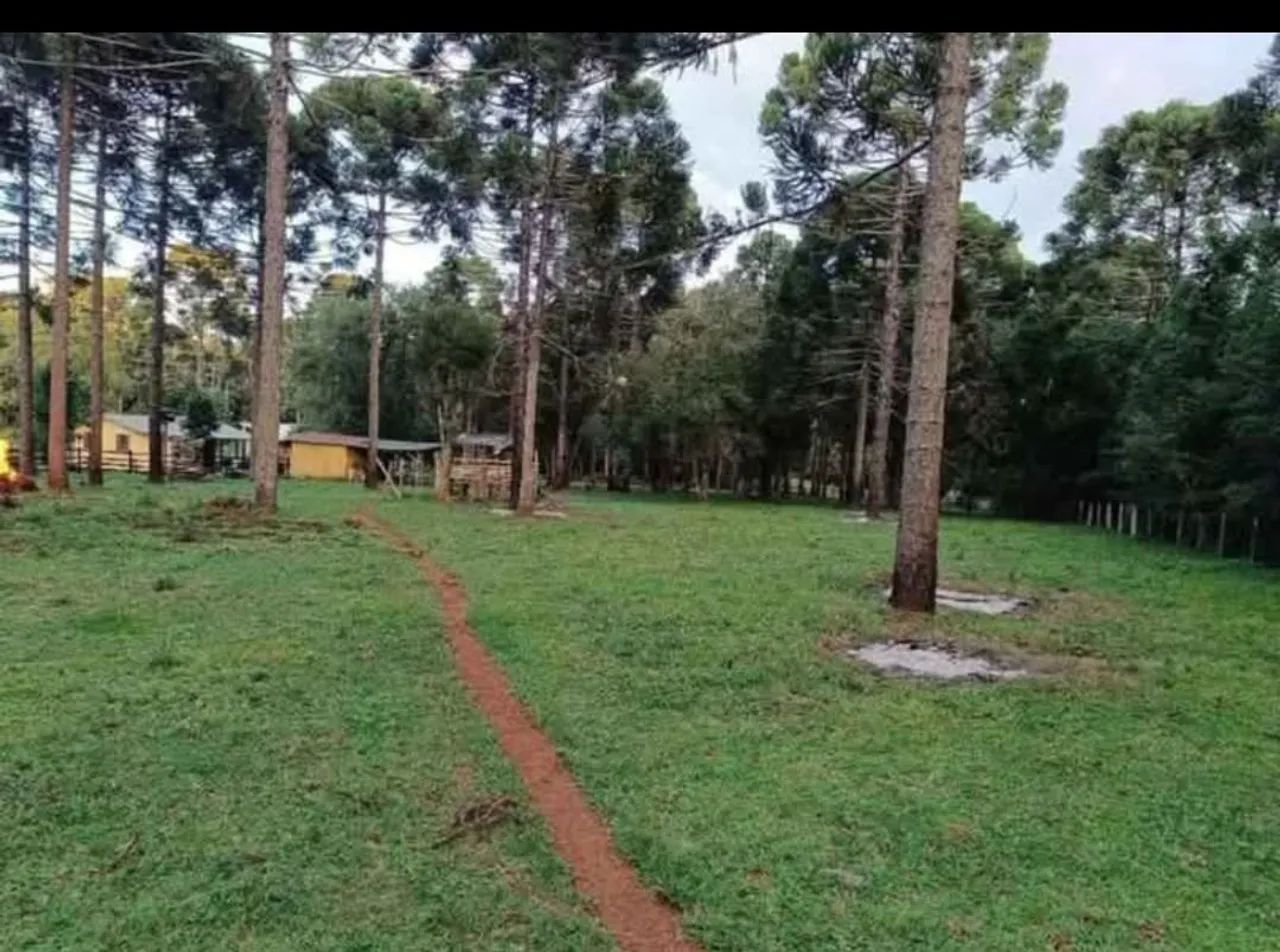 Vendo sítio na Lapa PR  - Foto 3