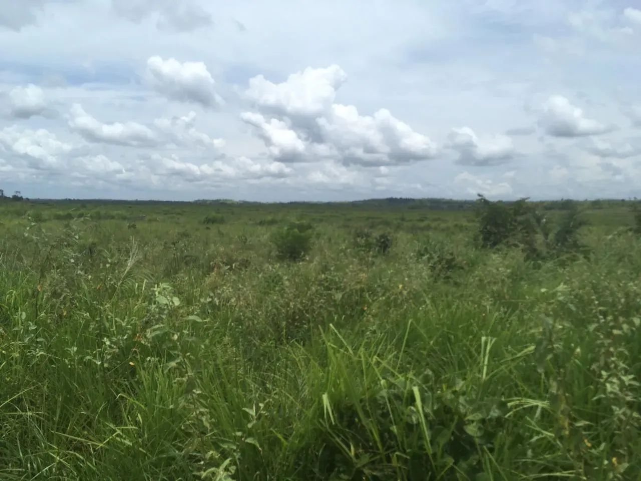 Fazenda a venda em Goiatins - TO - Foto 4