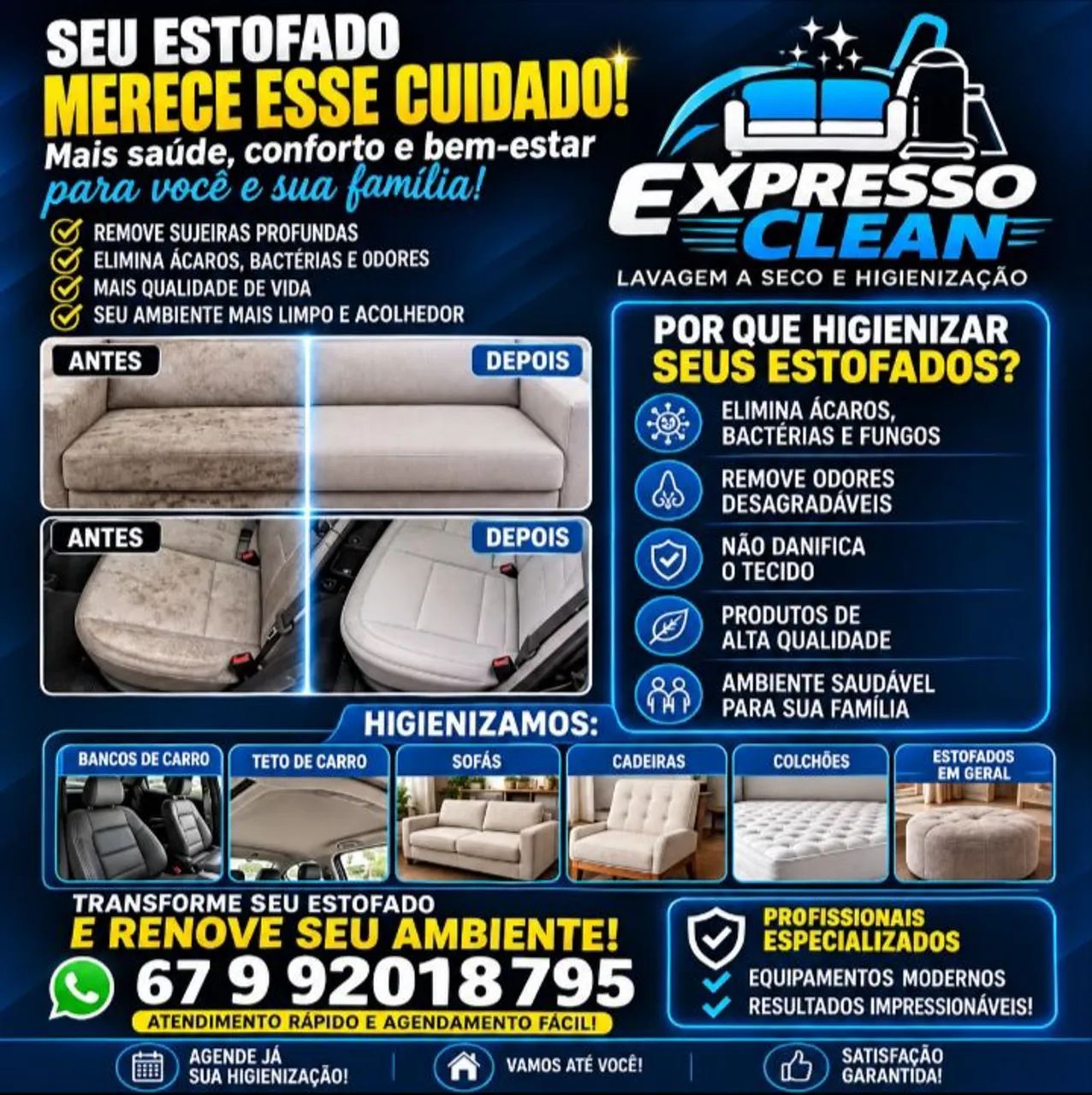 Lavagem a seco e higienização * (Expresso Clean)