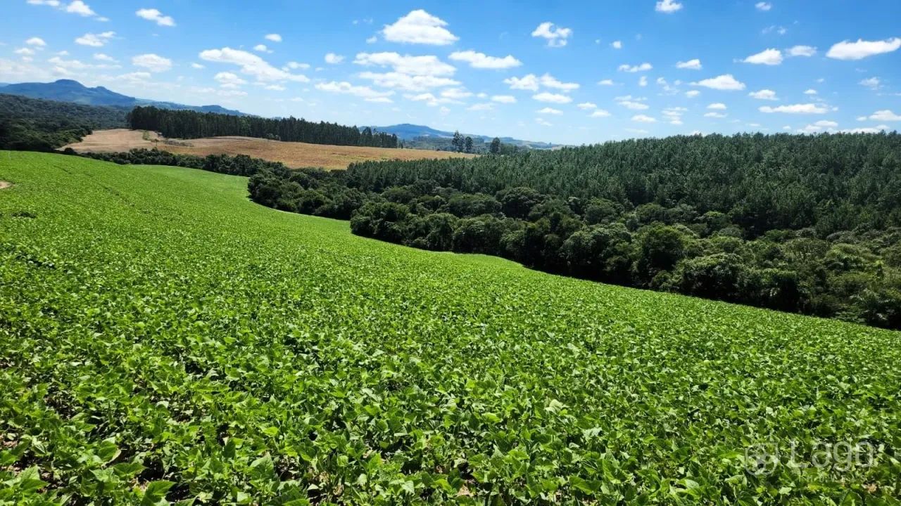 Área Rural Prudentópolis - Foto 2