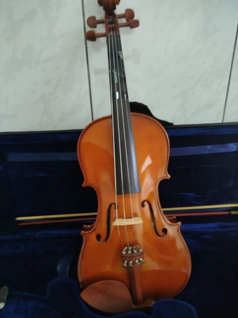 Violino Eagle