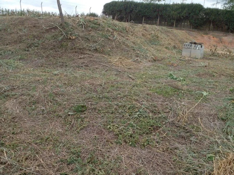 AREA DE 5.000,00 M² PORTO FELIZ - Foto 5
