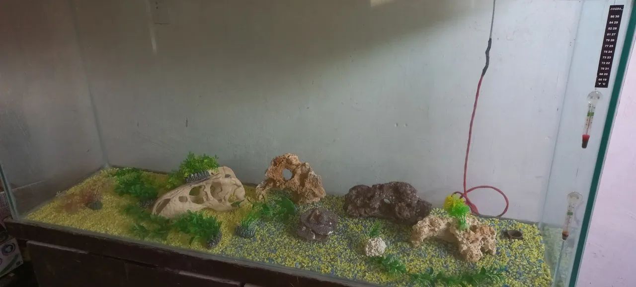 Aquário  - Foto 3