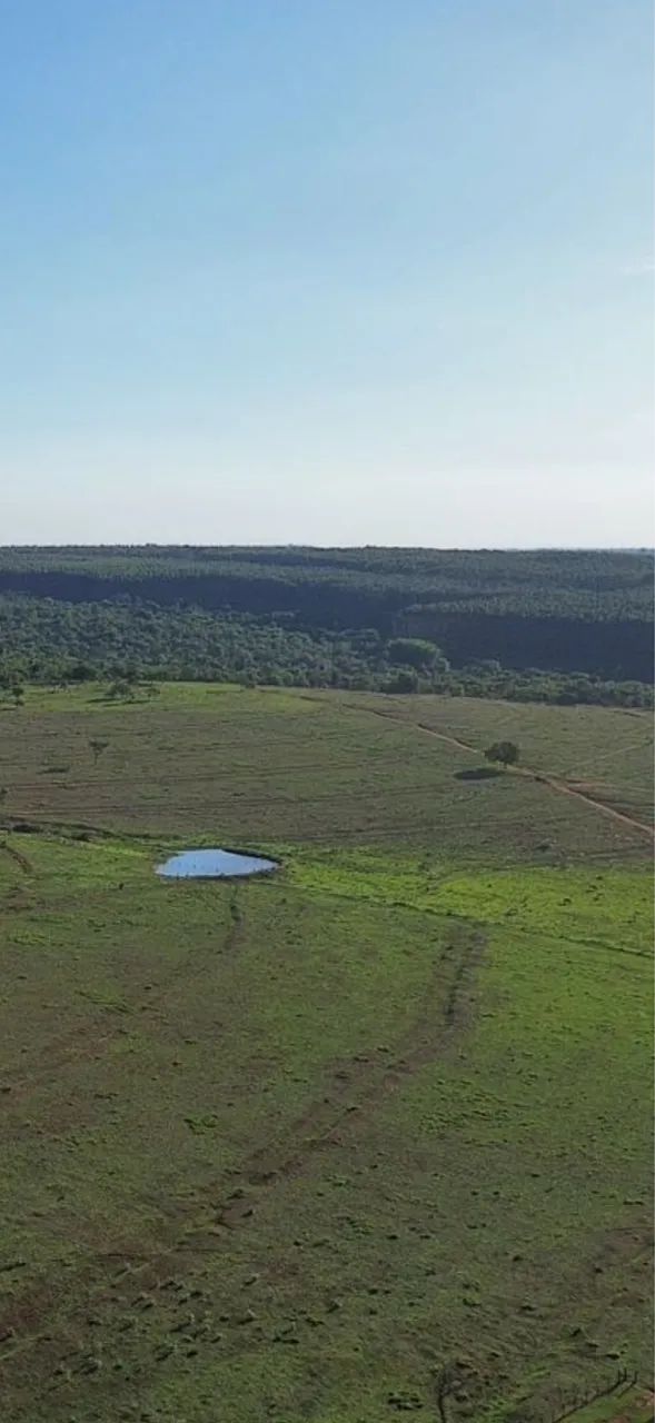 Excelente fazenda no triângulo mineiro  - Foto 5