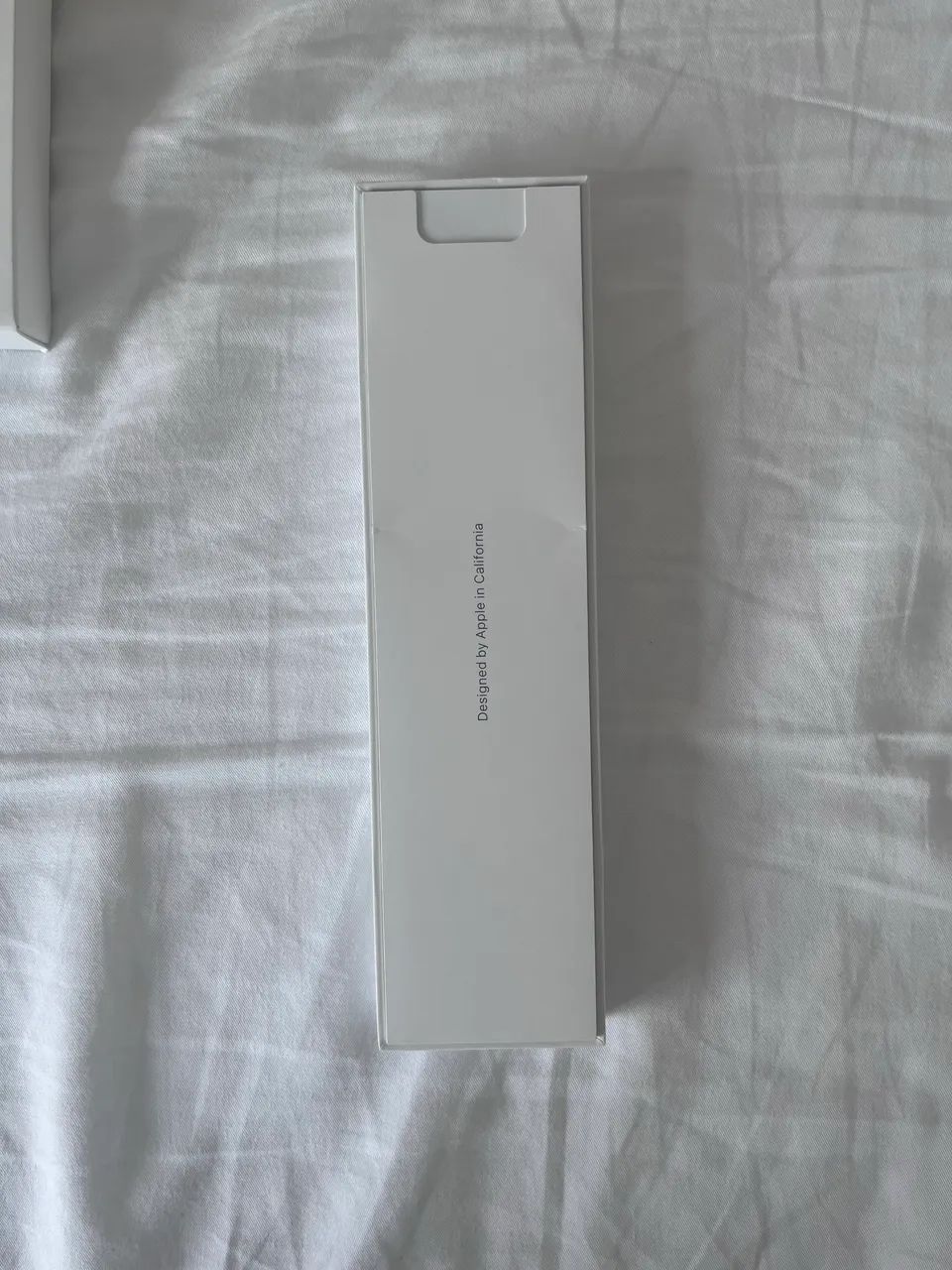Apple Pencil USB-C 