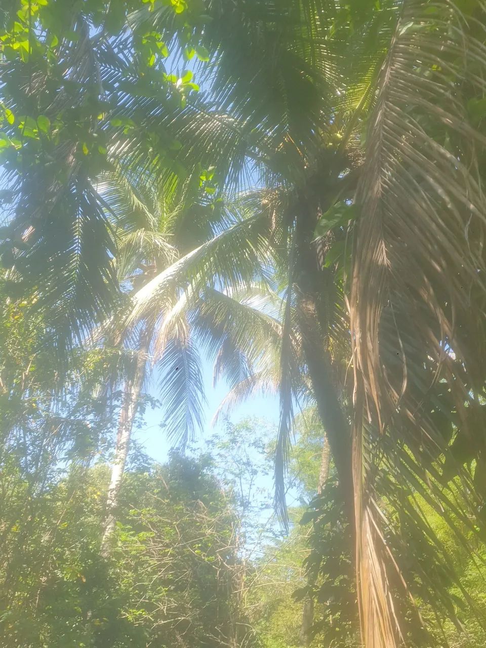 Venda ou troca  - Foto 4